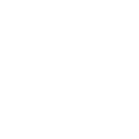 Vegan